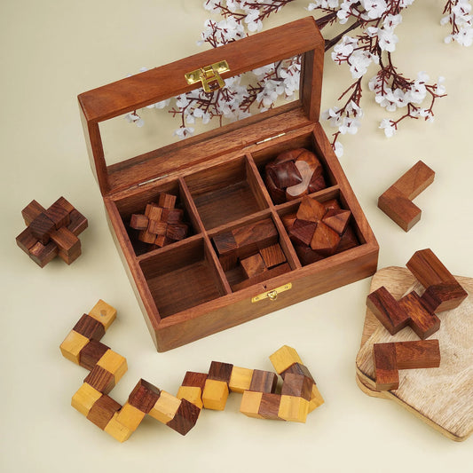 Ajuny Wooden Puzzle Box Set (6 Games)