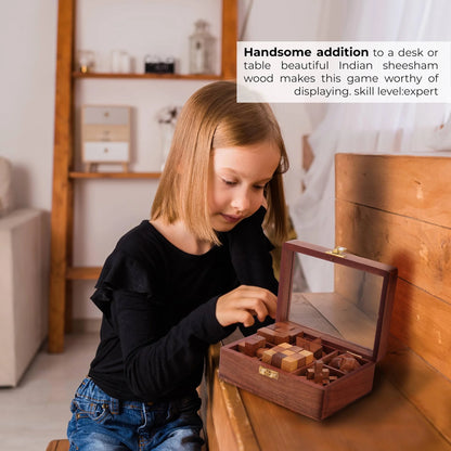 Ajuny Wooden Puzzle Box Set (6 Games)